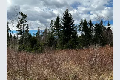 Lot 2-18 Shin Pond Road, Mount Chase, ME 04765 - Photo 53
