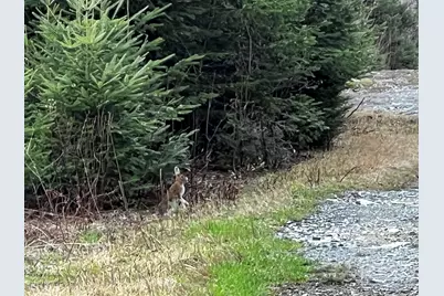 Lot 2-18 Shin Pond Road, Mount Chase, ME 04765 - Photo 5