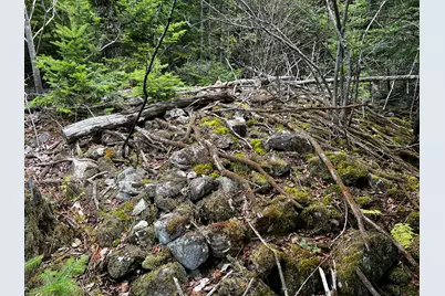 Lot 2-18 Shin Pond Road, Mount Chase, ME 04765 - Photo 23
