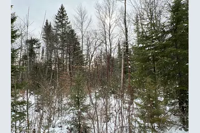 Lot 2-18 Shin Pond Road, Mount Chase, ME 04765 - Photo 39
