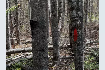 Lot 2-18 Shin Pond Road, Mount Chase, ME 04765 - Photo 15