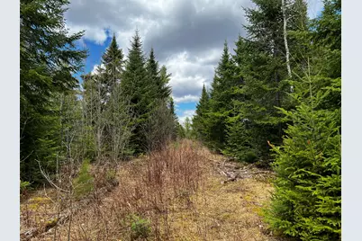 Lot 2-18 Shin Pond Road, Mount Chase, ME 04765 - Photo 13