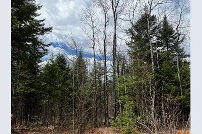 Lot 2-18 Shin Pond Road, Mount Chase, ME 04765 - Photo 21