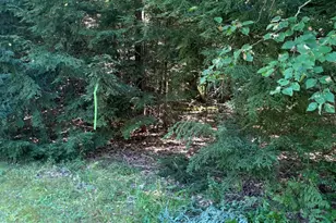 1035 Airline Rd, Clifton, ME 04428 - Photo 33