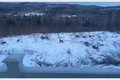1882 North Road, Cornish, ME 04020 - Photo 9