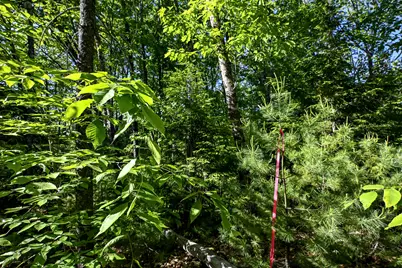 421 Middle Road, Standish, ME 04085 - Photo 19