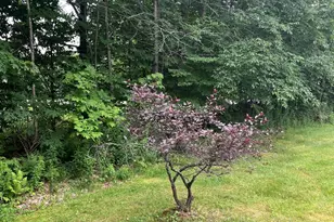 41 Crescent St, Skowhegan, ME 04976 - Photo 13