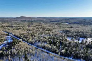 230 Maine 212, Moro Plantation, ME 04780 - Photo 47