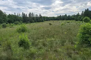 111 Currie Rd, Smyrna, ME 04780 - Photo 15