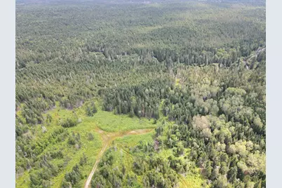 Lot 43.12 Jemptland Road, ConnorTownship, ME 04736 - Photo 13