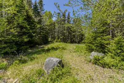 Lot 50 Cove Road, Machiasport, ME 04655 - Photo 33