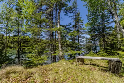 Lot 50 Cove Road, Machiasport, ME 04655 - Photo 37