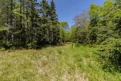 Lot 50 Cove Road, Machiasport, ME 04655 - Photo 31