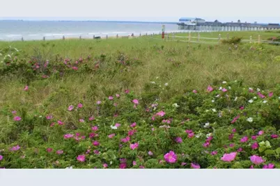 1 Cleaves Street #304, Old Orchard Beach, ME 04064 - Photo 29