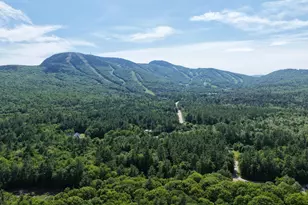 12 Lodgepole Ln, Newry, ME 04261 - Photo 5