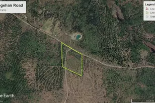 0 Baskahegan Rd, Bancroft, ME 04497 - Photo 3