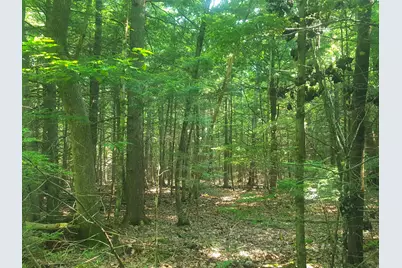 594 River Road Road, Windham, ME 04062 - Photo 33