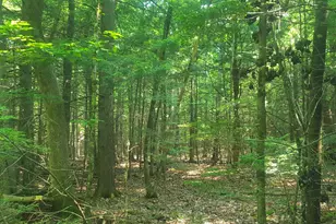 594 River Road Rd, Windham, ME 04062 - Photo 33