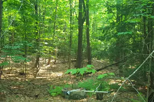 594 River Road Rd, Windham, ME 04062 - Photo 29