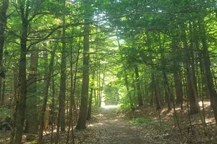 594 River Road Rd, Windham, ME 04062 - Photo 21