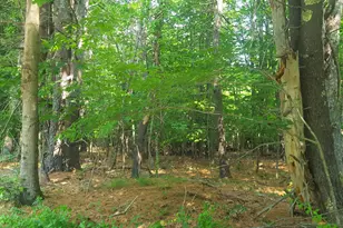 594 River Road Rd, Windham, ME 04062 - Photo 25