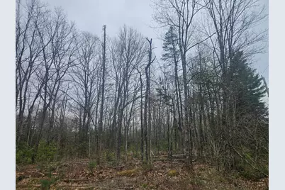 Lot 14-2,3 Perkins Road, Burnham, ME 04922 - Photo 1