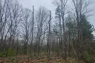 Lot 14-2 3 Perkins Rd, Burnham, ME 04922 - Photo 1
