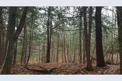 53 Johnson Road, Windham, ME 04062 - Photo 9