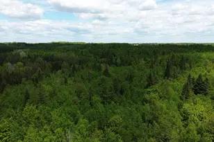 170 Grampys Way, Monticello, ME 04760 - Photo 55
