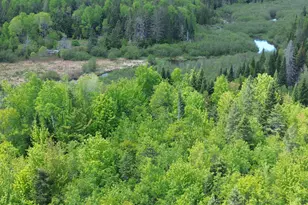 170 Grampys Way, Monticello, ME 04760 - Photo 57