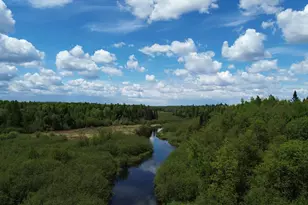 170 Grampys Way, Monticello, ME 04760 - Photo 63