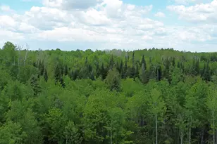 170 Grampys Way, Monticello, ME 04760 - Photo 61