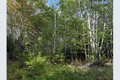 15 Moose Trail Drive, Waltham, ME 04605 - Photo 9