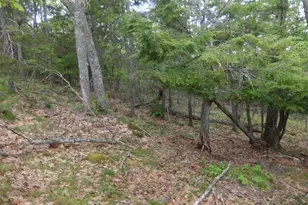 0 Hatchet Mountain Rd, Hope, ME 04847 - Photo 1