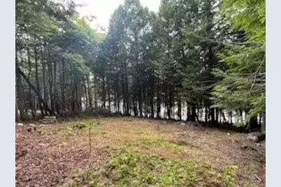 Lot #8 Kolm Road, Garland, ME 04939 - Photo 9