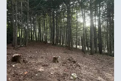 Lot #8 Kolm Road, Garland, ME 04939 - Photo 11