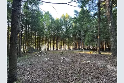 Lot #8 Kolm Road, Garland, ME 04939 - Photo 13