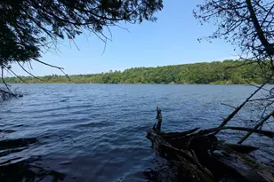 Lot #8 Kolm Rd, Garland, ME 04939 - Photo 1