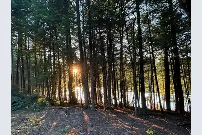 Lot #8 Kolm Road, Garland, ME 04939 - Photo 19
