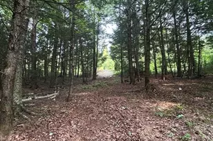 Lot #8 Kolm Rd, Garland, ME 04939 - Photo 1