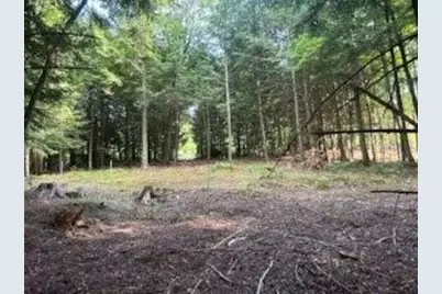 Lot #8 Kolm Road, Garland, ME 04939 - Photo 7