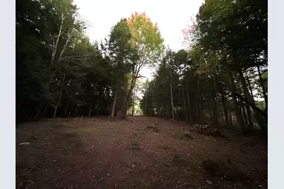 Lot #8 Kolm Road, Garland, ME 04939 - Photo 7