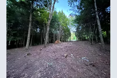 Lot #8 Kolm Road, Garland, ME 04939 - Photo 9