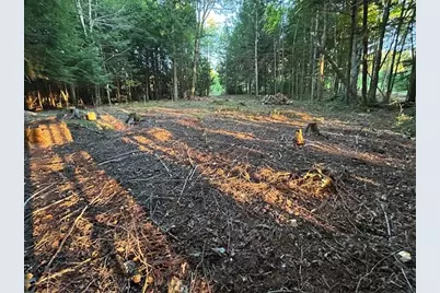 Lot #8 Kolm Road, Garland, ME 04939 - Photo 21