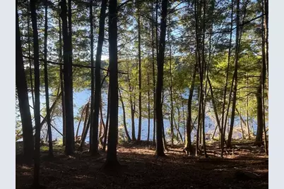 Lot #8 Kolm Road, Garland, ME 04939 - Photo 13