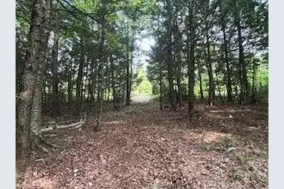 Lot #8 Kolm Road, Garland, ME 04939 - Photo 5
