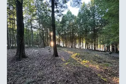 Lot #8 Kolm Road, Garland, ME 04939 - Photo 15