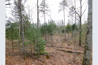 Lot # 2 Spring Bridge Road, Greenbush, ME 04418 - Photo 1