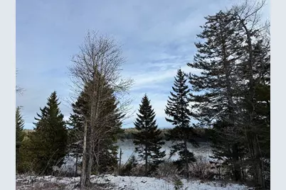 Lot 7Bh Steam Mill Road, Robbinston, ME 04671 - Photo 13
