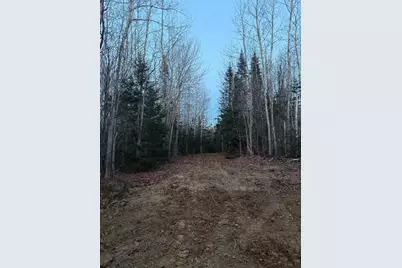 Lot 7Bh Steam Mill Road, Robbinston, ME 04671 - Photo 9